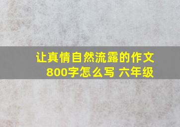 让真情自然流露的作文800字怎么写 六年级